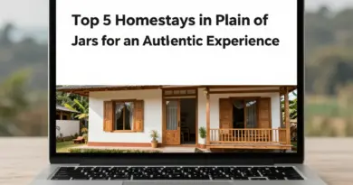 Top 5 Homestays in Plain of Jars for an Authentic Experience