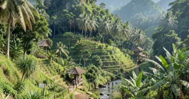 Luang Namtha or Vang Vieng: Discover Your Perfect Laotian Adventure